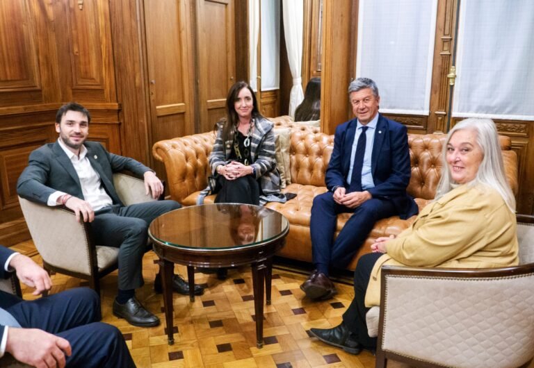 Torres se reunió con la vicepresidenta de la Nación
