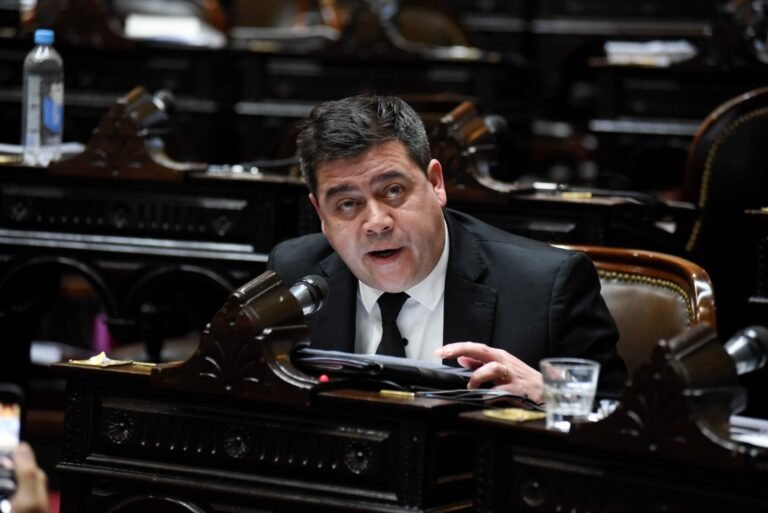 Treffinger acompañará el proyecto que presentará el gobierno nacional para bajar la edad de imputabilidad