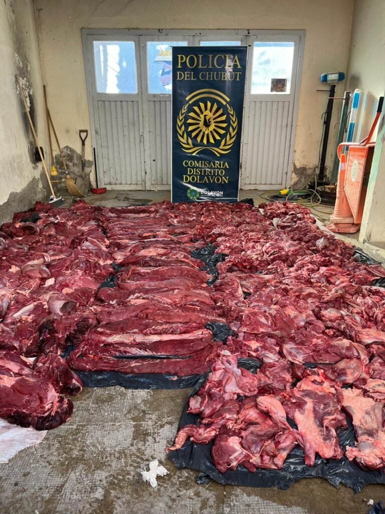 Decomisan 900 kilos de carne de guanaco