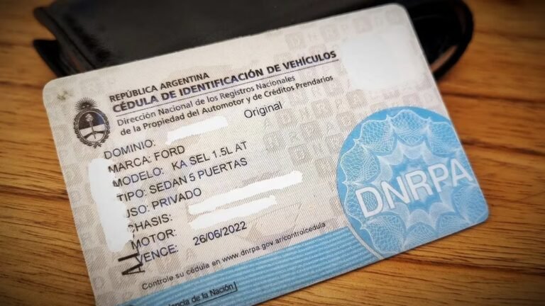 El Gobierno eliminó la cédula azul: cuáles son los documentos necesarios para circular desde hoy