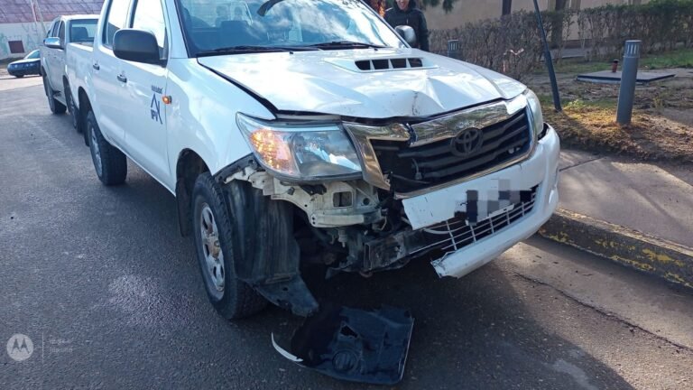 Perdió el control de su camioneta y chocó contra una palma