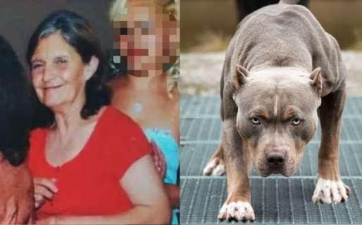 Una jubilada murió al ser atacada por cinco pitbulls mientras cortaba el pasto