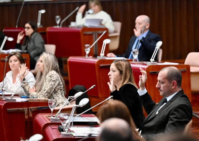 La Legislatura aprobó con 18 votos la adhesión de Chubut al RIGI