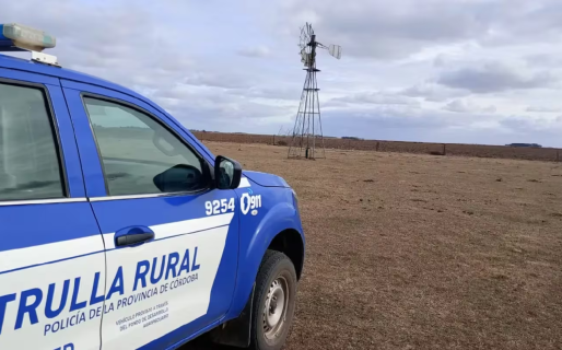 Un joven violó una restricción, quiso escapar de la Policía y se trepó a un molino para no ser detenido