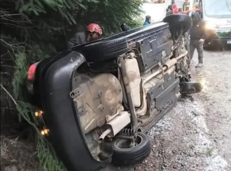 Doce personas mueren por día en accidentes de tránsito