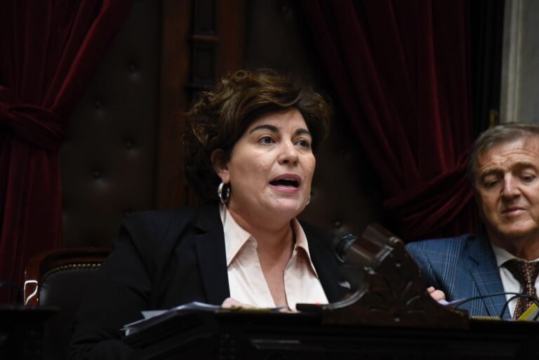 Ana Clara Romero: “Comodoro Rivadavia, una ciudad víctima de la imprevisión y la desidia”