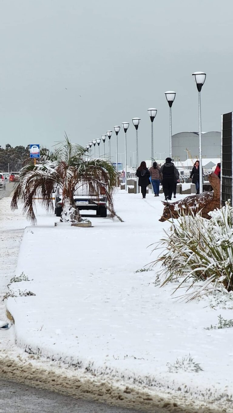 Pronóstico de lluvias y nevadas para este sábado