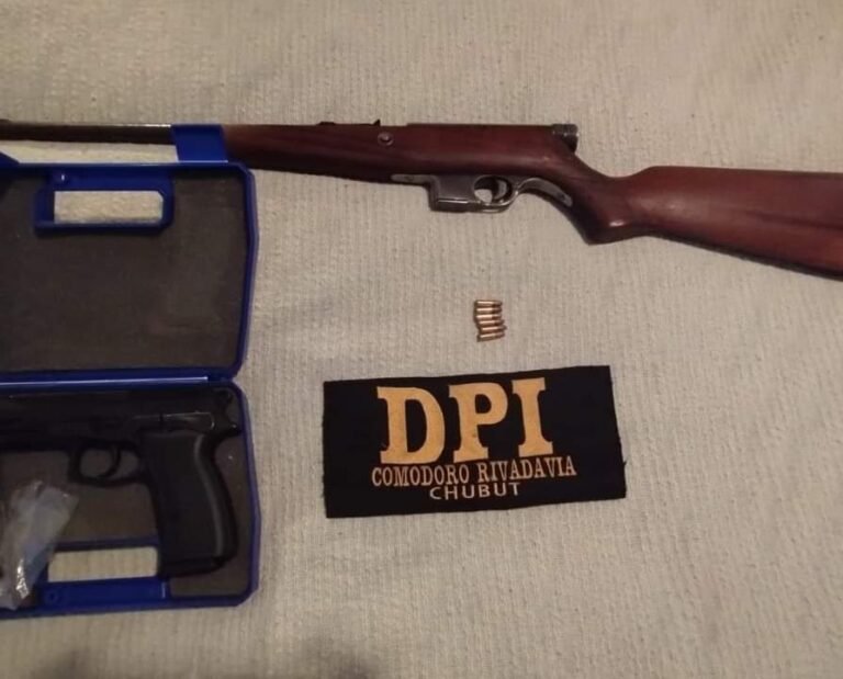 Secuestran dos armas en un allanamiento