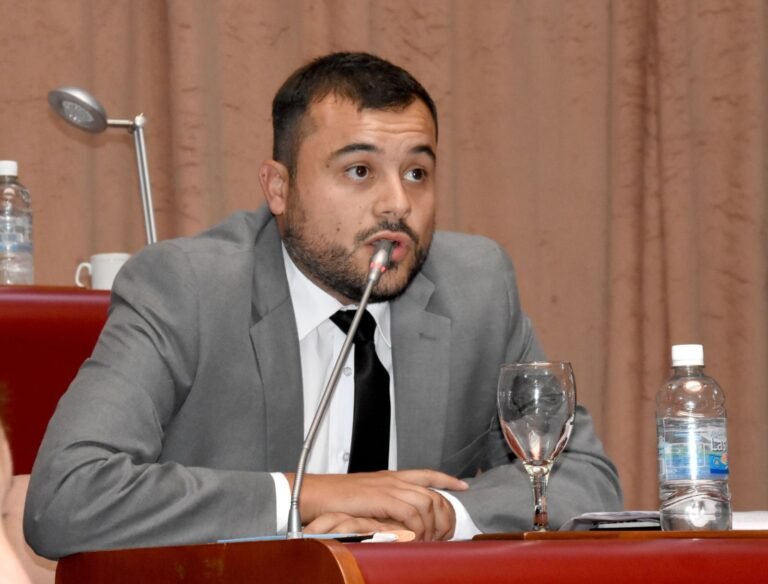 Emanuel Fernández es el nuevo presidente de la Juventud PRO Argentina