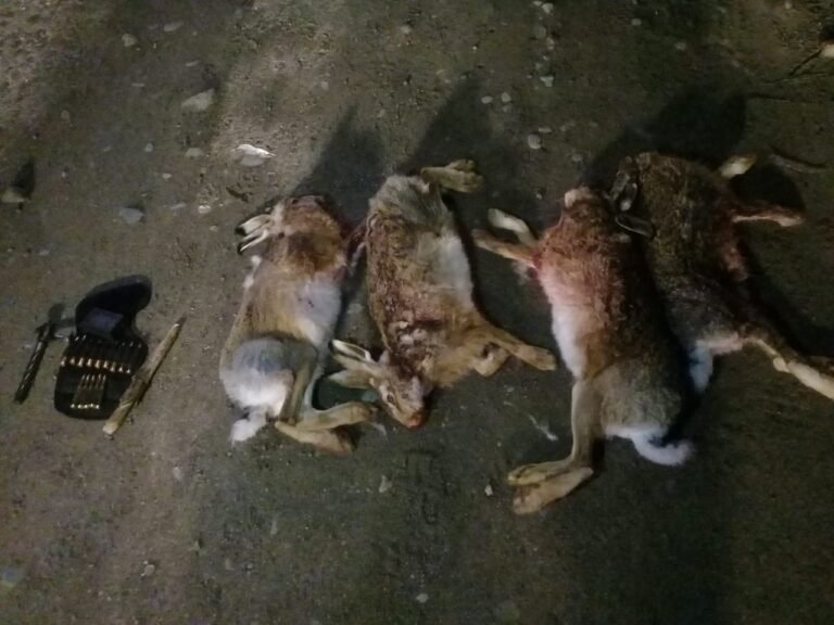 Los atraparon borrachos, con armas y cazando