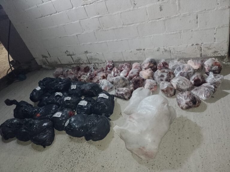 Llevaban carne de guanaco y cuchillos en la caja de la camioneta