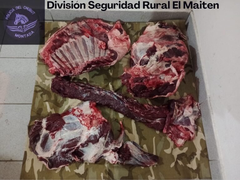 Secuestraron carne de ciervo y armas
