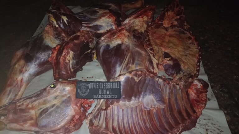 Llevaba un caballo depostado en la caja de la camioneta y se lo secuestraron