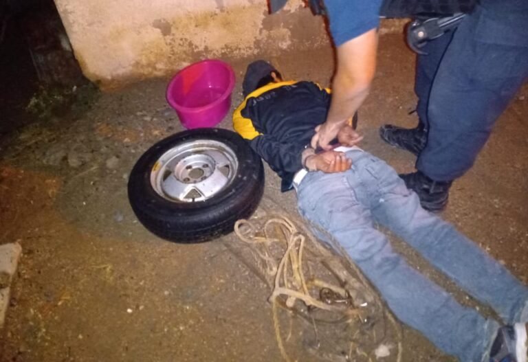 Intentó robar una rueda, un fuentón y una rienda para caballo del patio de una casa