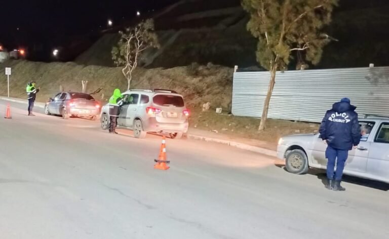 En un control, detectaron a cuatro conductores en estado de ebriedad