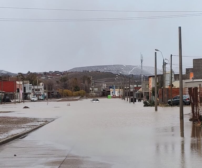 Continúa la entrega de leña y nylon para los sectores más afectados