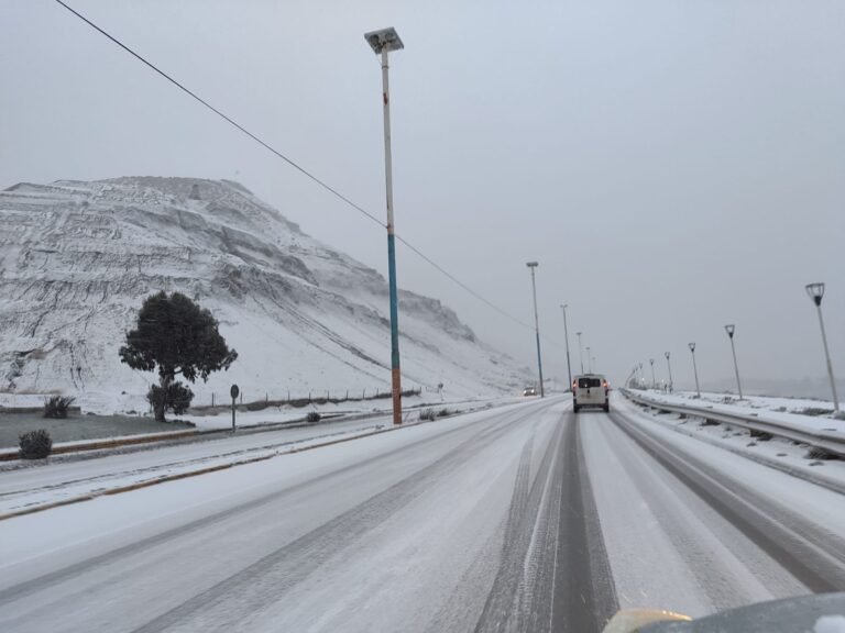 Suspenden el servicio del transporte público momentáneamente