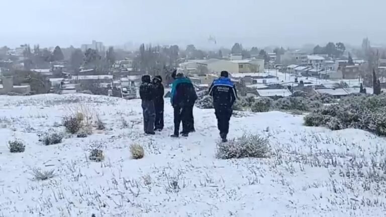 Salieron a caminar en plena nevada y encontraron a una persona sin vida