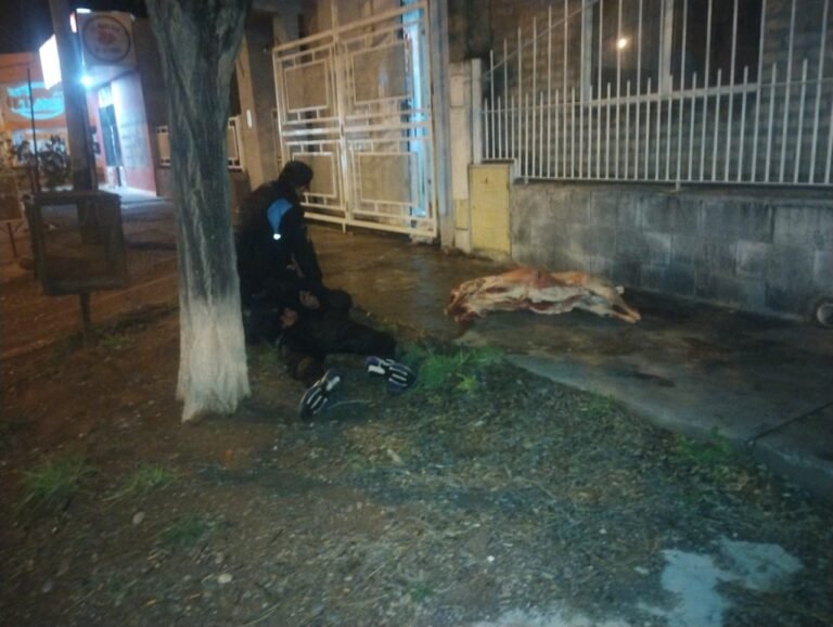 Los atraparon escapando con un cordero y un cajón de pollo