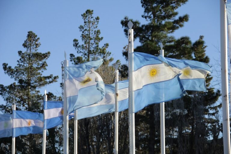 Rada Tilly celebra el Día de la Bandera con desfile y jura 