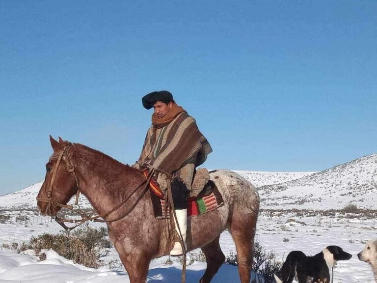 Sale todos los días con su caballo, en medio de la nieve, a buscar a Luis Sea