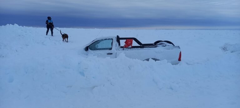 Canes de la policía participan en la búsqueda de Luis Alberto Sea