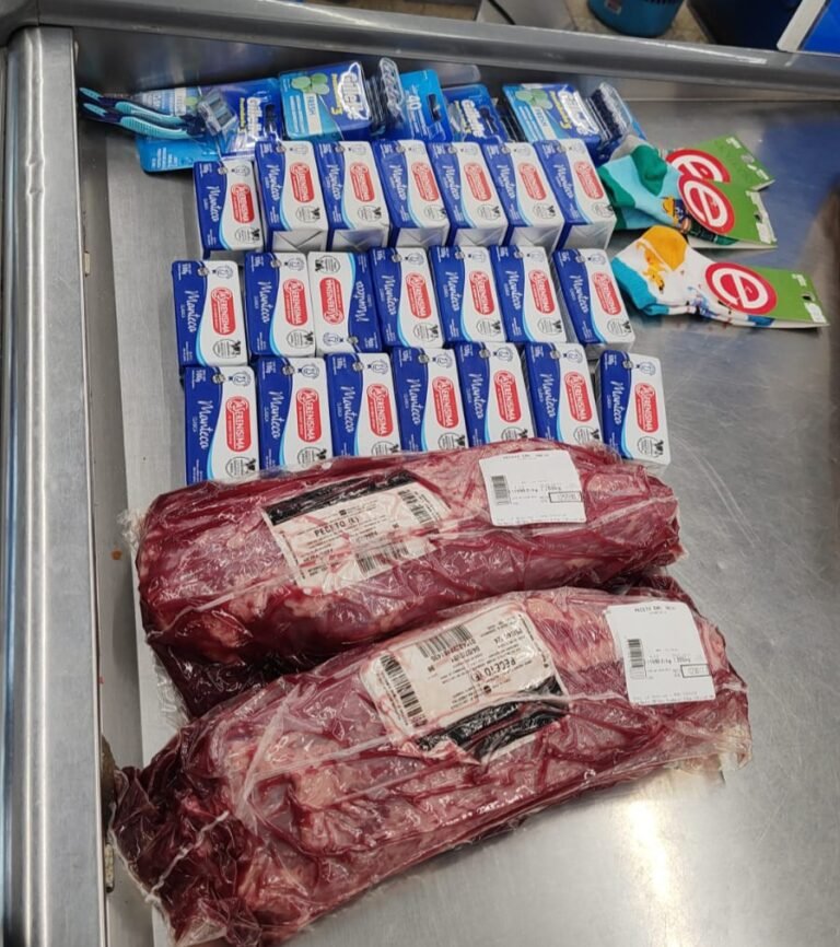 Con sus hijos de 1 y 12 años intentó llevar mercadería sin pagar