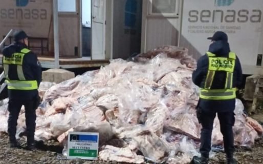 Decomisaron más de 7.000 kilos de carne transportada irregularmente