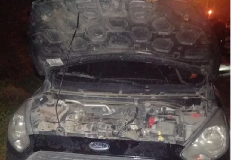 Lo atraparon robando y enfrentó a la Policía con un fierro