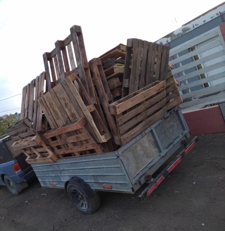 Junta leña para familias que lo necesitan y pide ayuda a la comunidad para donaciones