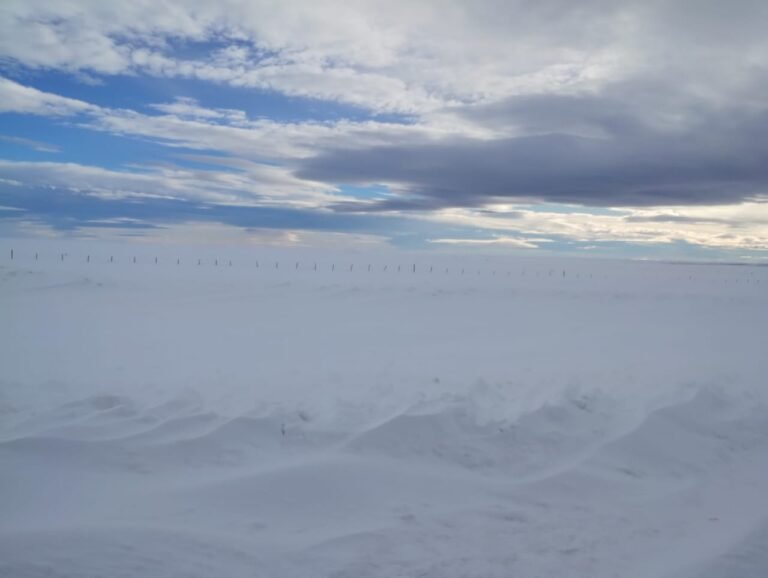 Nuevamente cortaron la Ruta N°3 entre Trelew y Comodoro