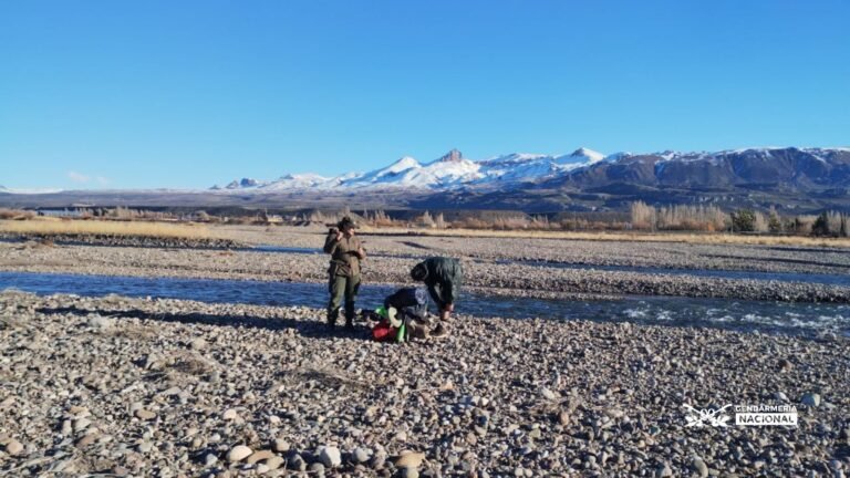 Intentaban ingresar al país desde Chile ilegalmente con estupefaciente