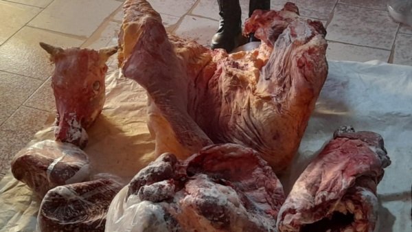 Viajaba a Comodoro con media vaca congelada en el baúl