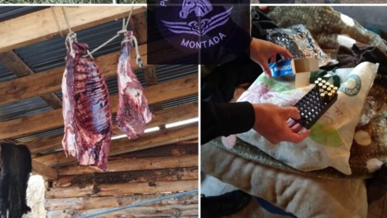 Realizaron un allanamiento por robo de ganado y encontraron armas, cuchillos y carne faenada
