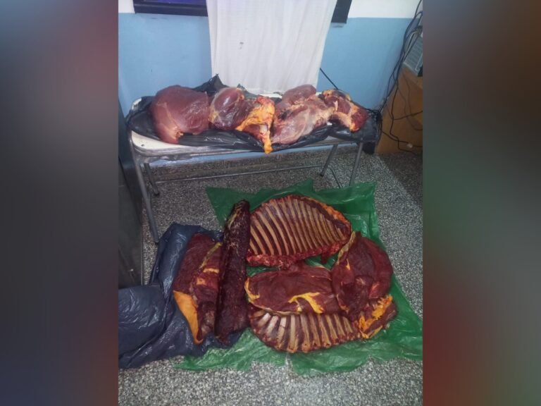 Los interceptaron en un control y los descubrieron con carne faenada en el asiento