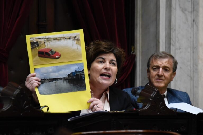 Emergencia Calimática: El PRO Escalante implacable contra Macharashvilli, Luque y Linares