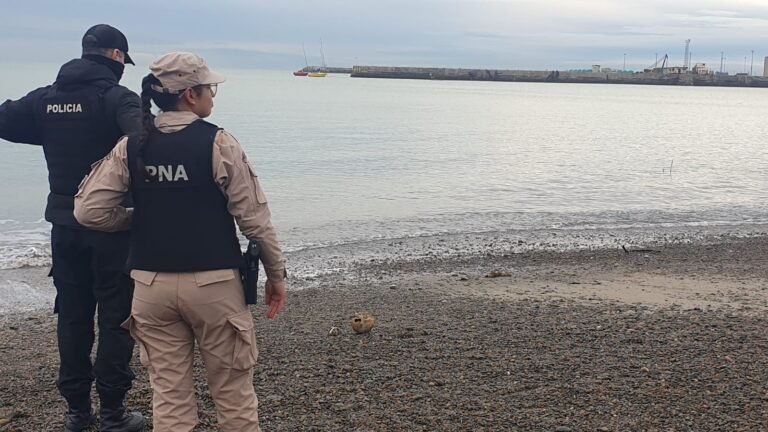 Encontraron restos óseos en la costanera