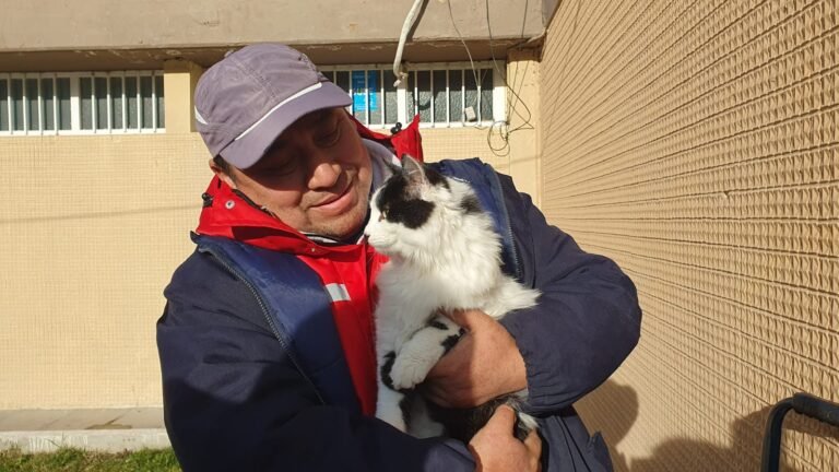 Duerme afuera de la Terminal con sus tres gatos y pide ayuda: “La estoy pasando mal”