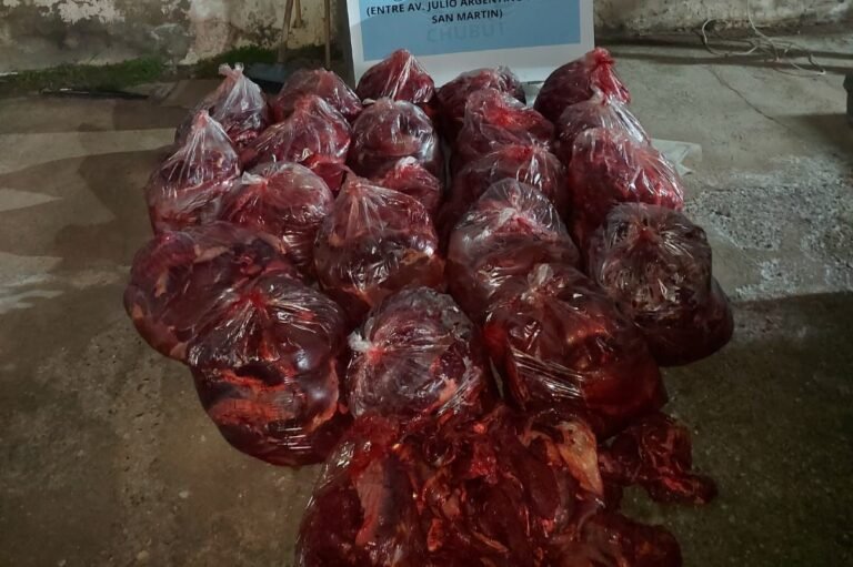 Lo atraparon con 550 kilos de carne de guanaco en la camioneta