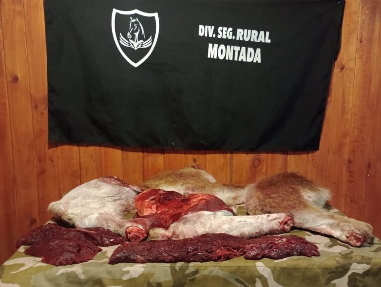 Llevaba carne de guanaco y se la secuestraron por exceder el límite de caza