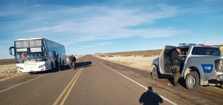 Secuestraron carne ovina y de guanaco en un colectivo