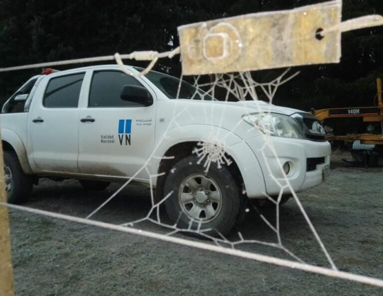 Encontraron una telaraña completamente congelada tras una fuerte helada