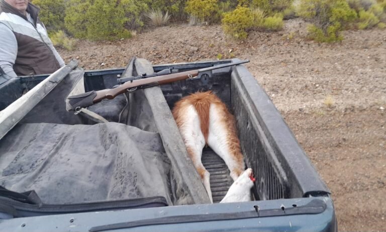 Lo pararon en la ruta y llevaba un guanaco depostado, armas y un cuchillo