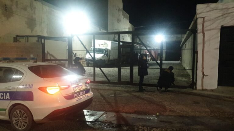 Saltaron un alto portón de un depósito y robaron tres bolsas de papa