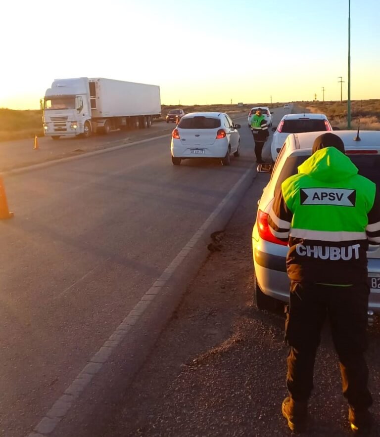 Operativos: más de 8 mil vehículos fueron controlados y detectaron 47 conductores alcoholizados 