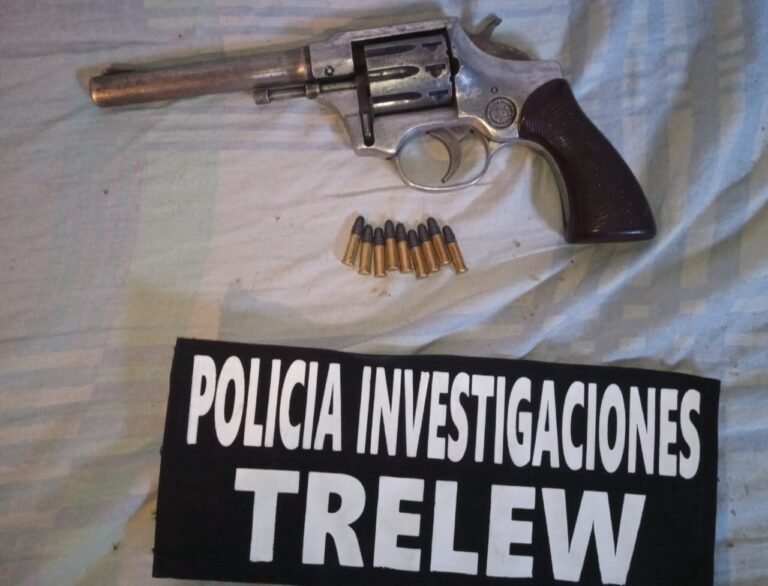 Agredieron y le robaron a una vecina, los allanaron y les encontraron armas y municiones 