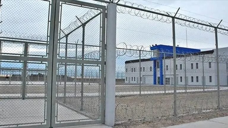 Mató a la hijita de su novia, quedó embarazada en la cárcel y ahora pide arresto domiciliario