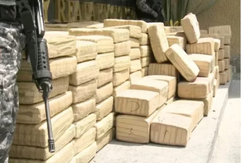Secuestraron más de 300 kilos de cocaína en un ciudad patagónica
