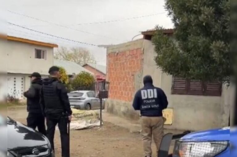 Lo allanaron por robo y le encontraron más de 15 plantas de marihuana en la casa