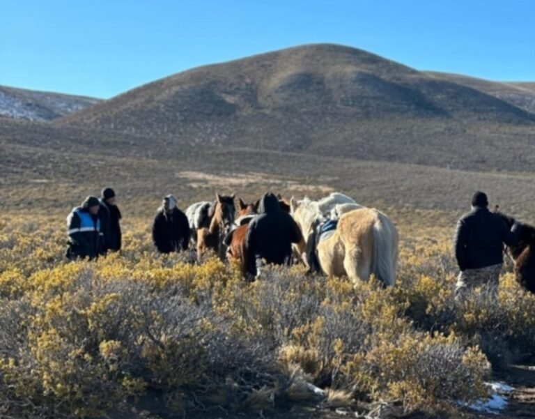 Tras 28 días de búsqueda encontraron sin vida al peón desaparecido